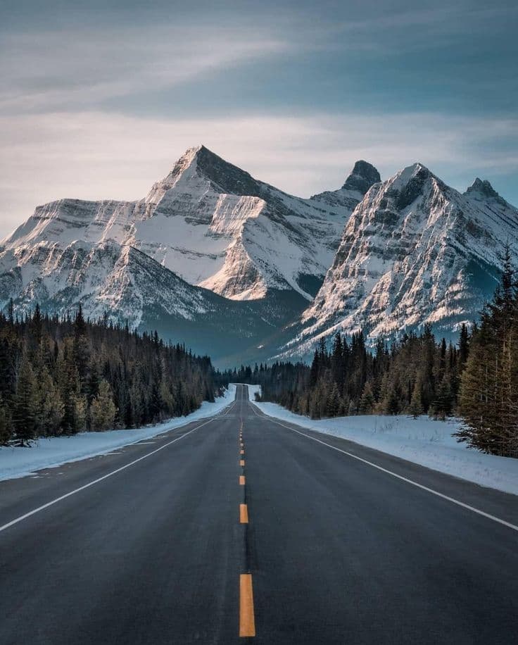 Alpine